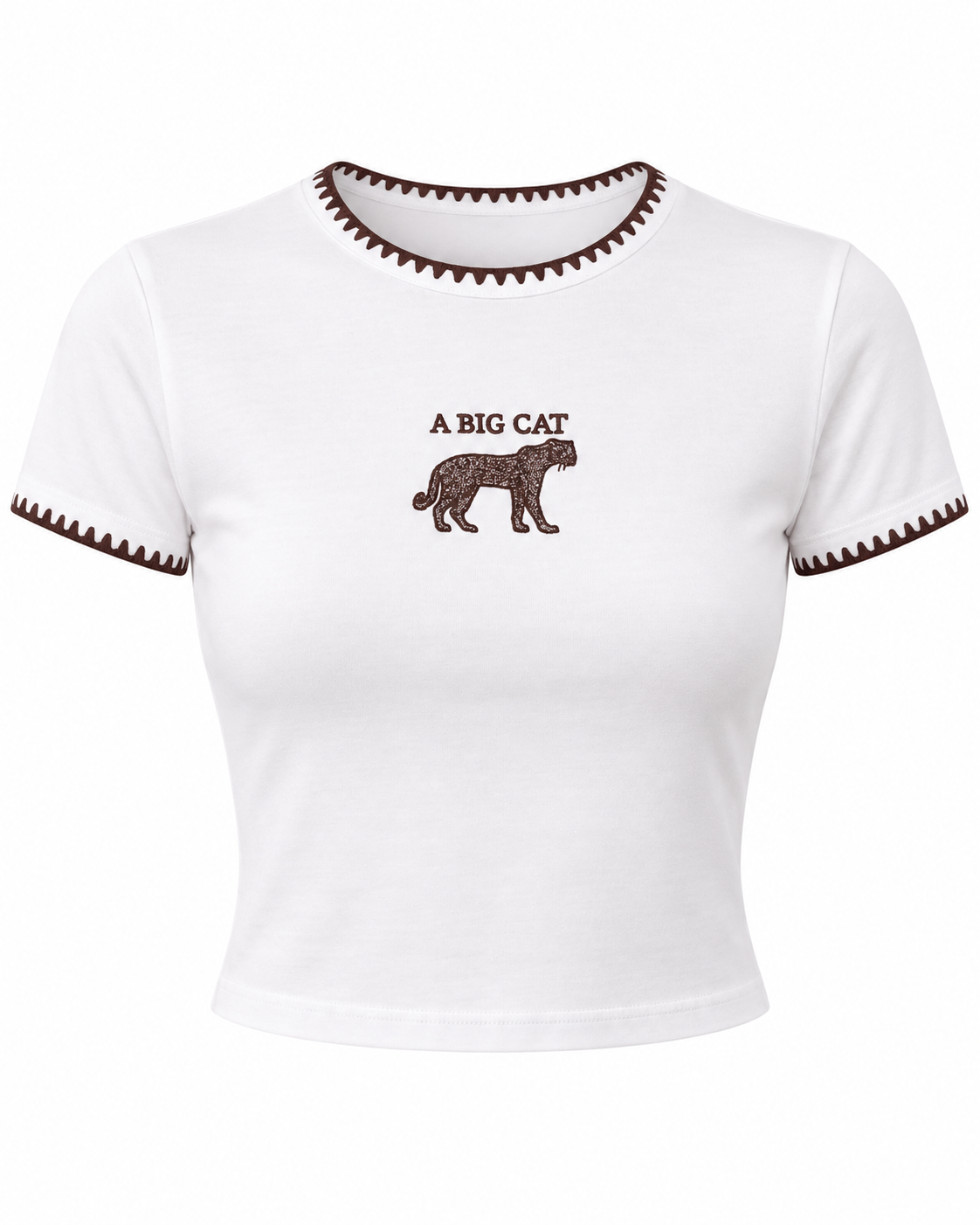 Nakış Detaylı T-shirt Ekru
